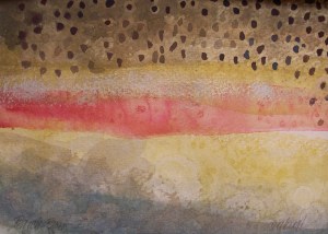 Rainbow at Buck Creek