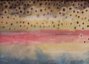 Rainbow at Buck Creek. 