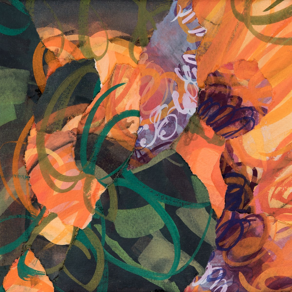 Poppy, Colorado, flowers