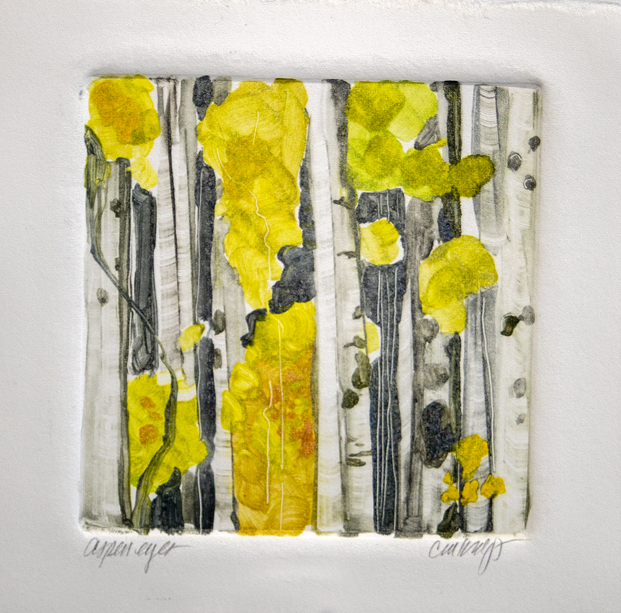 Aspen, bark, fall, Colorado