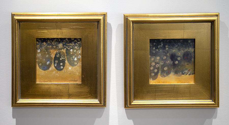 Trout, fishing, Rio Grande National Forest