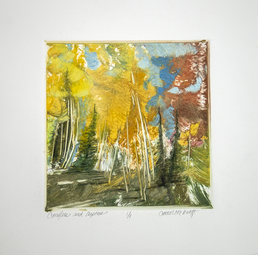 Conifers, Aspen, fall color, Colorado