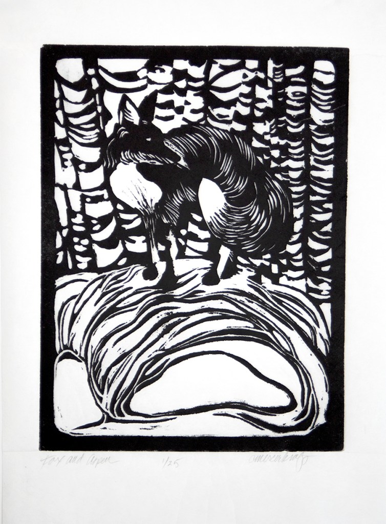 Fox, forest, aspen, boulders