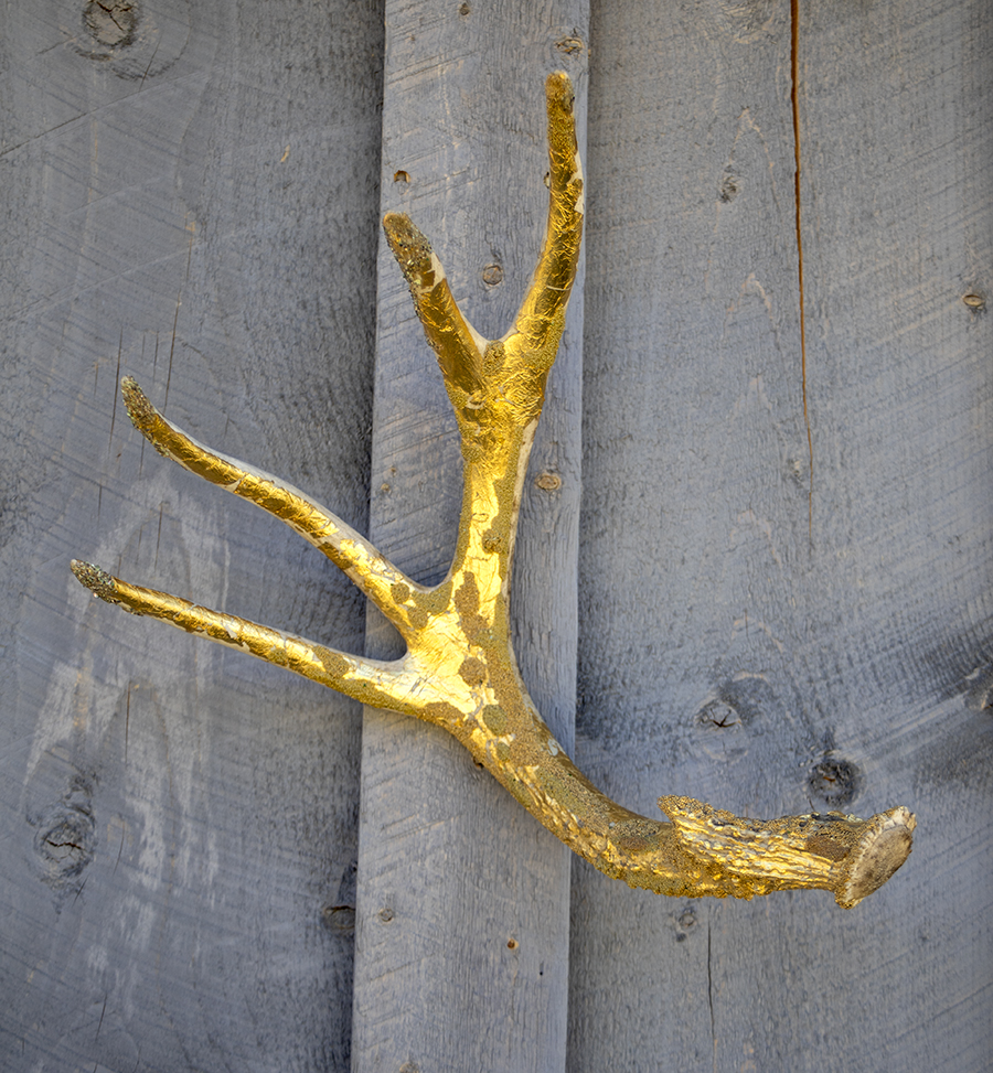Antlers, tabletop, decoraation