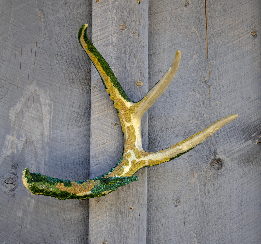 Antlers, decoration, interior design