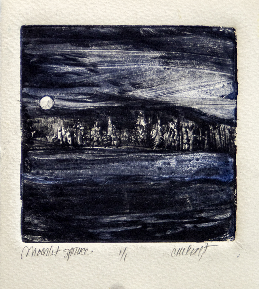 Moonlight, spruce, mountains