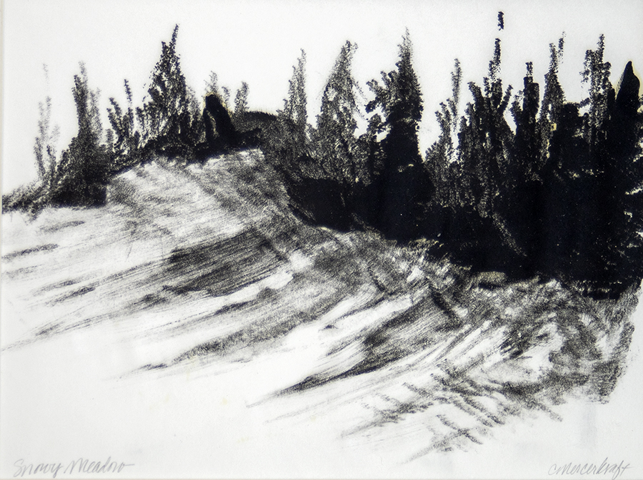 Mountain, snow, conifer, shadows