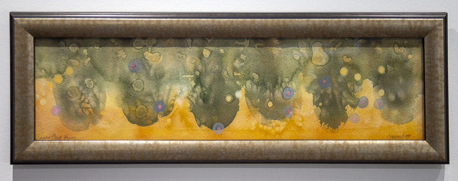 Fishing, trout, Rio Grande