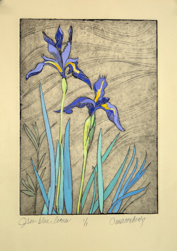 Iris, wildflowers, mountain iris